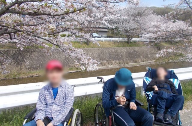 お花見