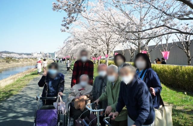 お花見