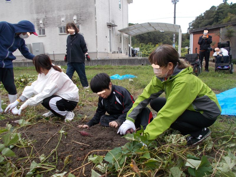 芋ほり