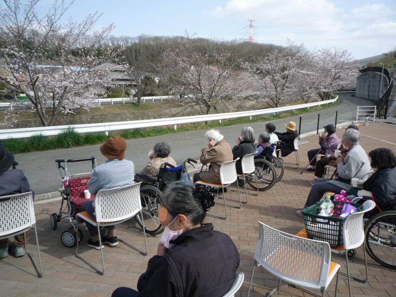 桜回廊をのんびりお花見